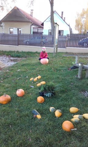 20161102_154641